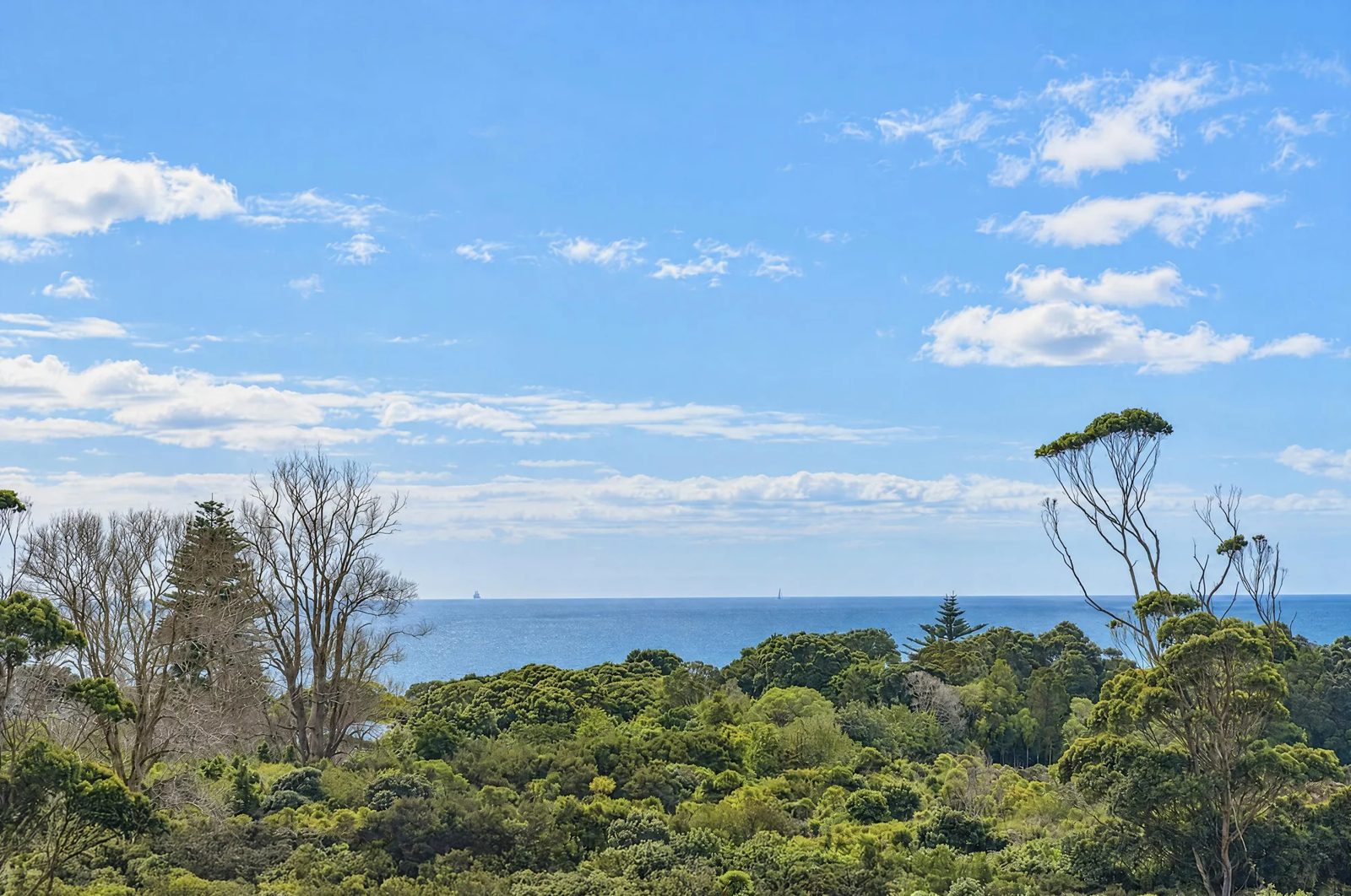 11 Humenga Place, Long Bay, photo 2