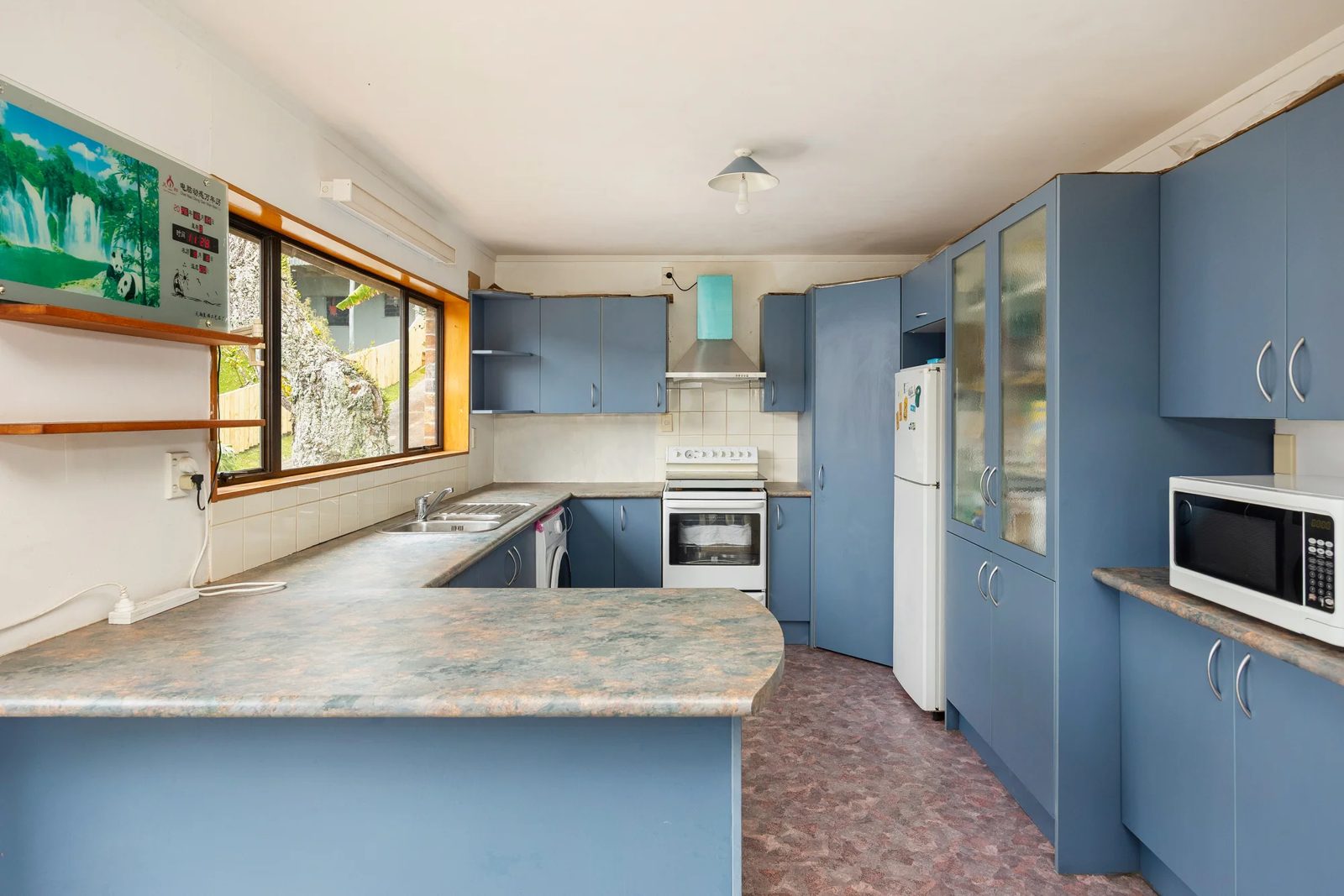 1260 New North Road, Avondale, photo 4