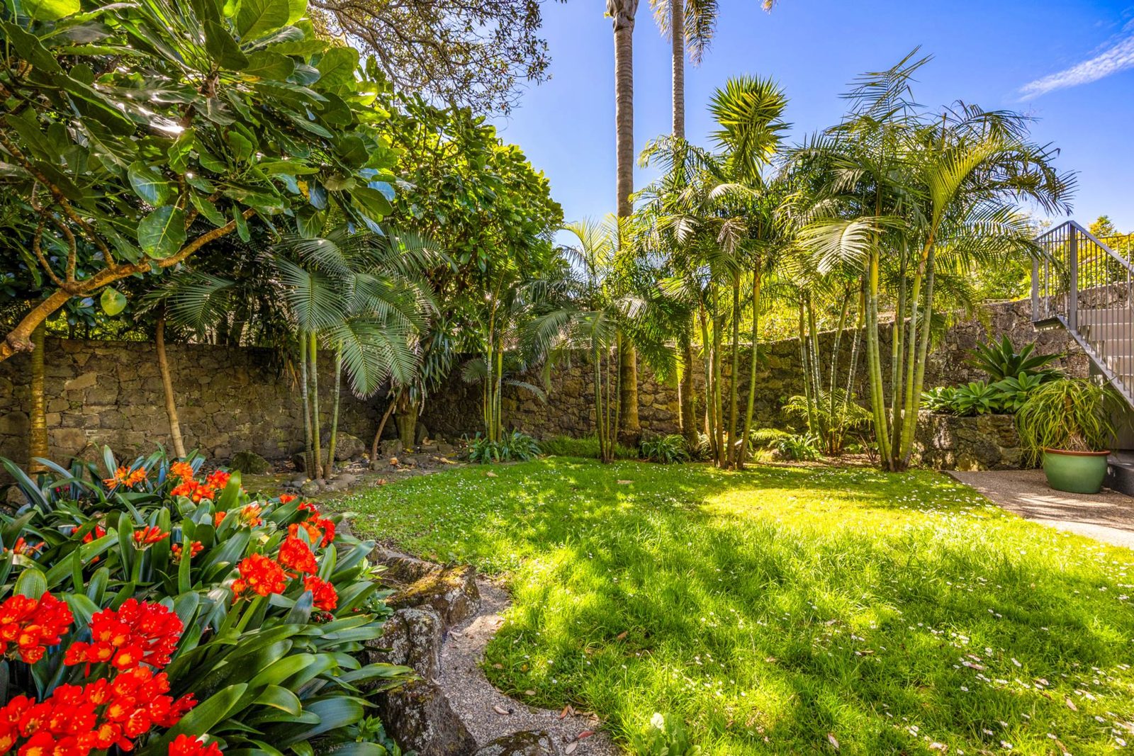 113 Peary Road, Mount Eden, photo 13