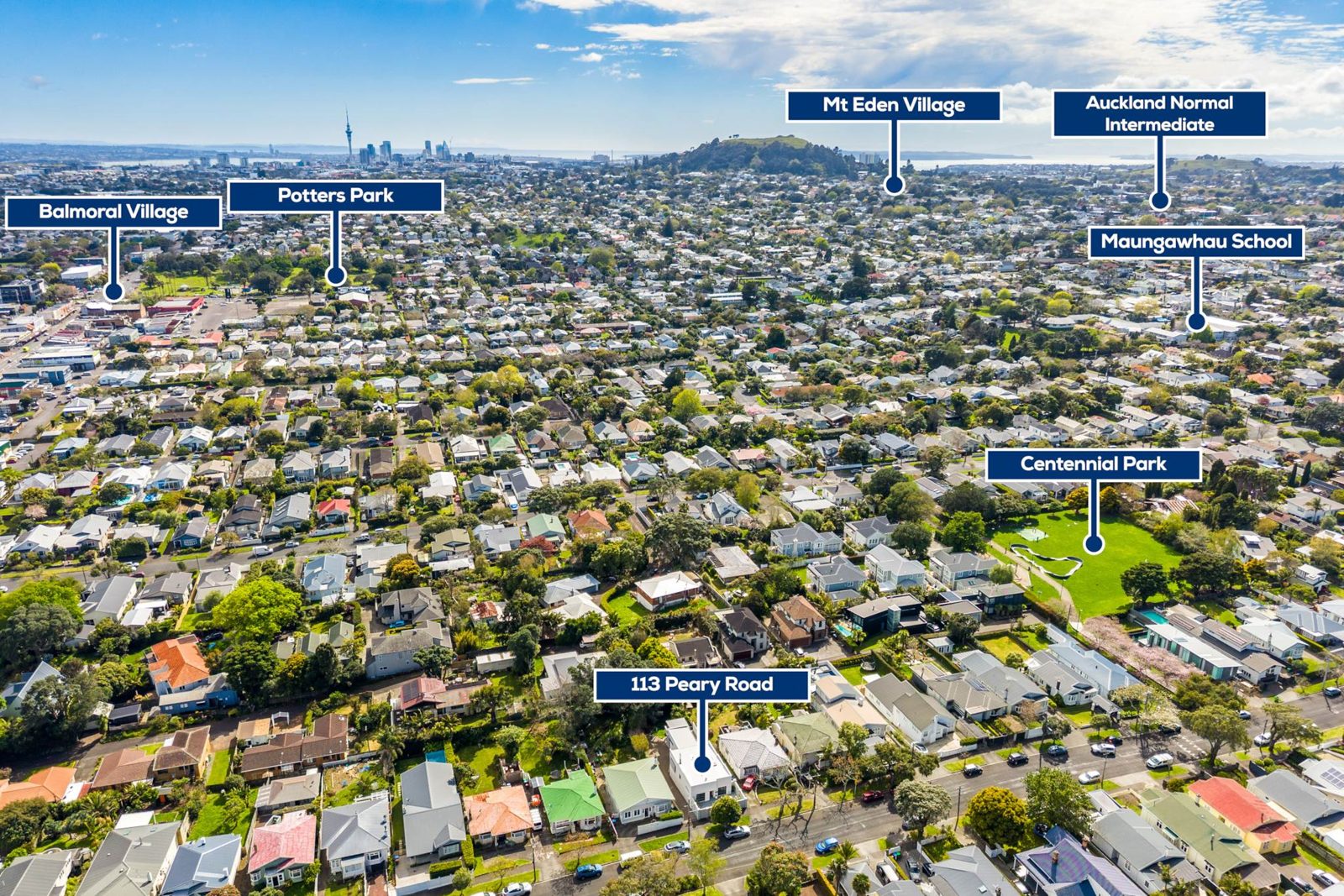 113 Peary Road, Mount Eden, photo 15
