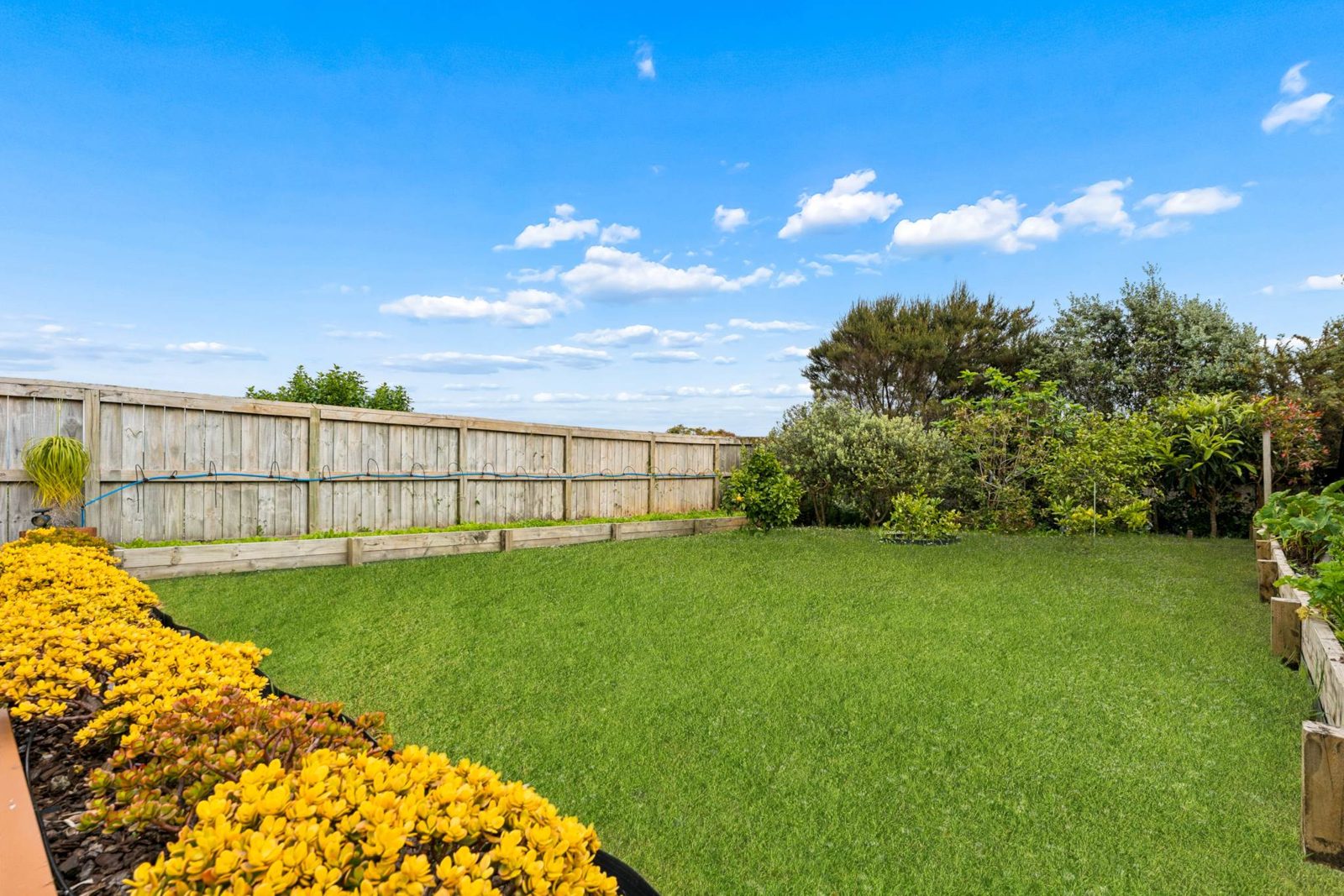 20 Mackay Drive, Greenhithe, photo 5