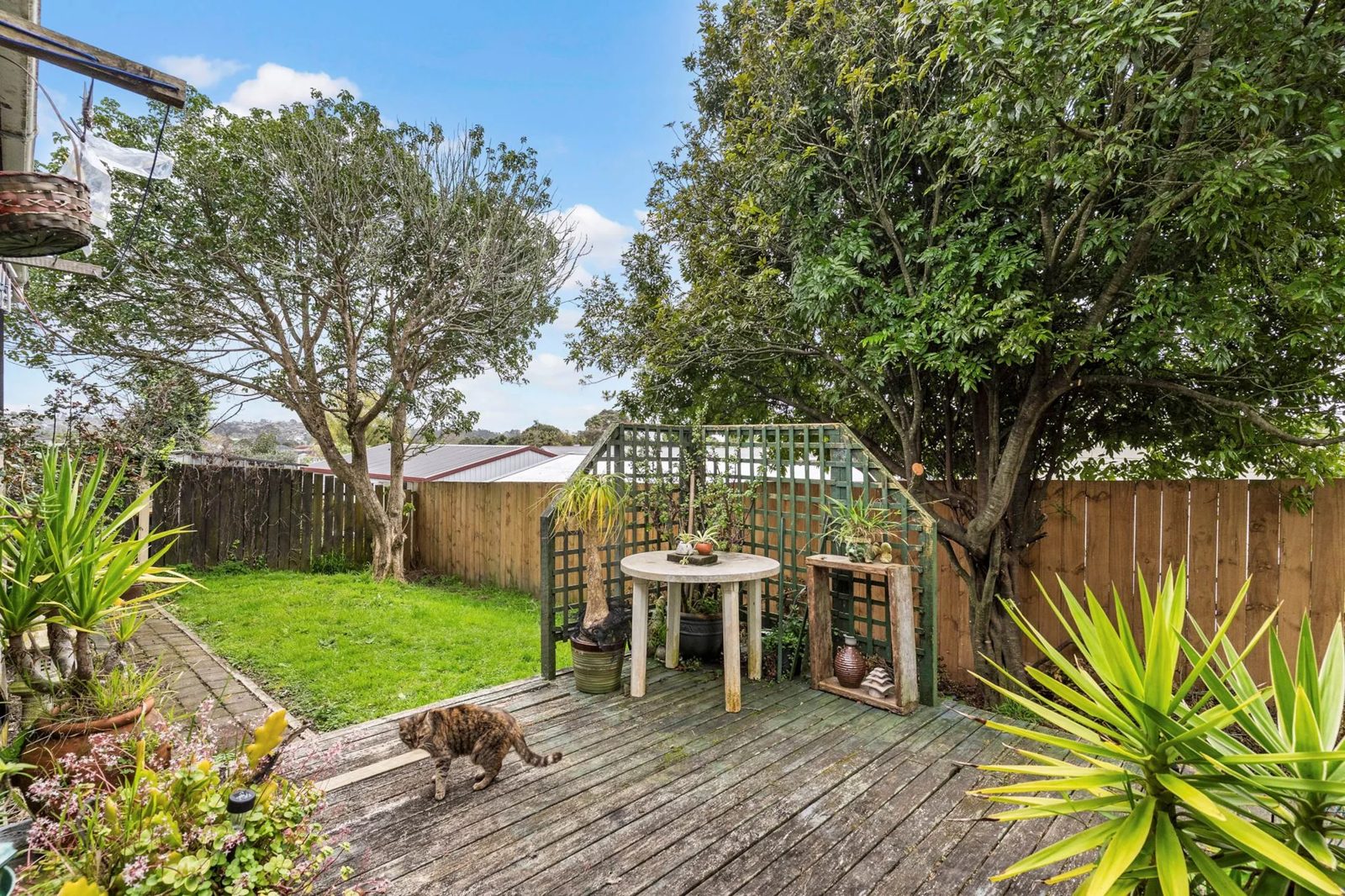 2/78 Hindmarsh Street, Henderson, photo 6