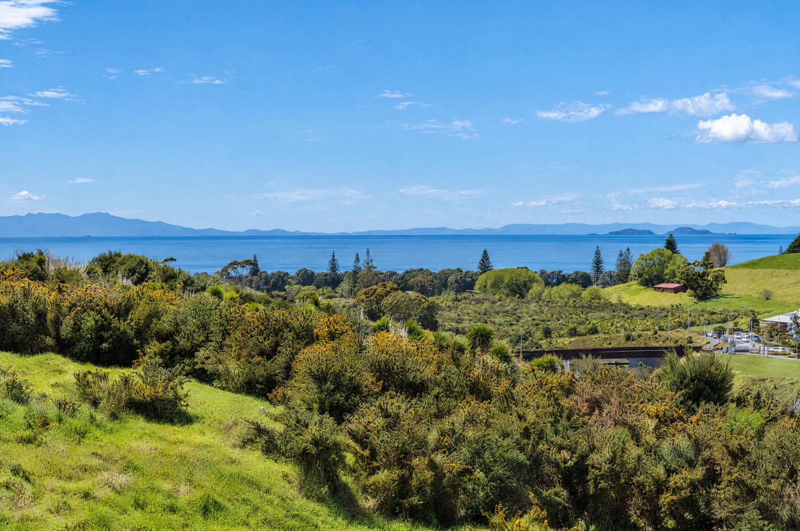 16 Ridgelea Road, Long Bay, photo 2