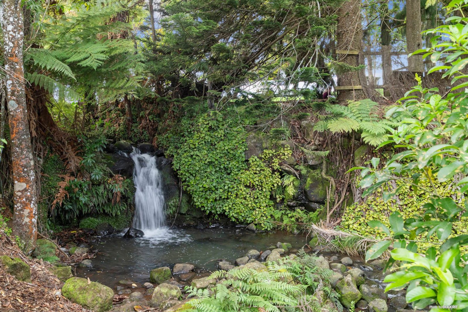 139 Dominion Road, Tuakau, photo 8