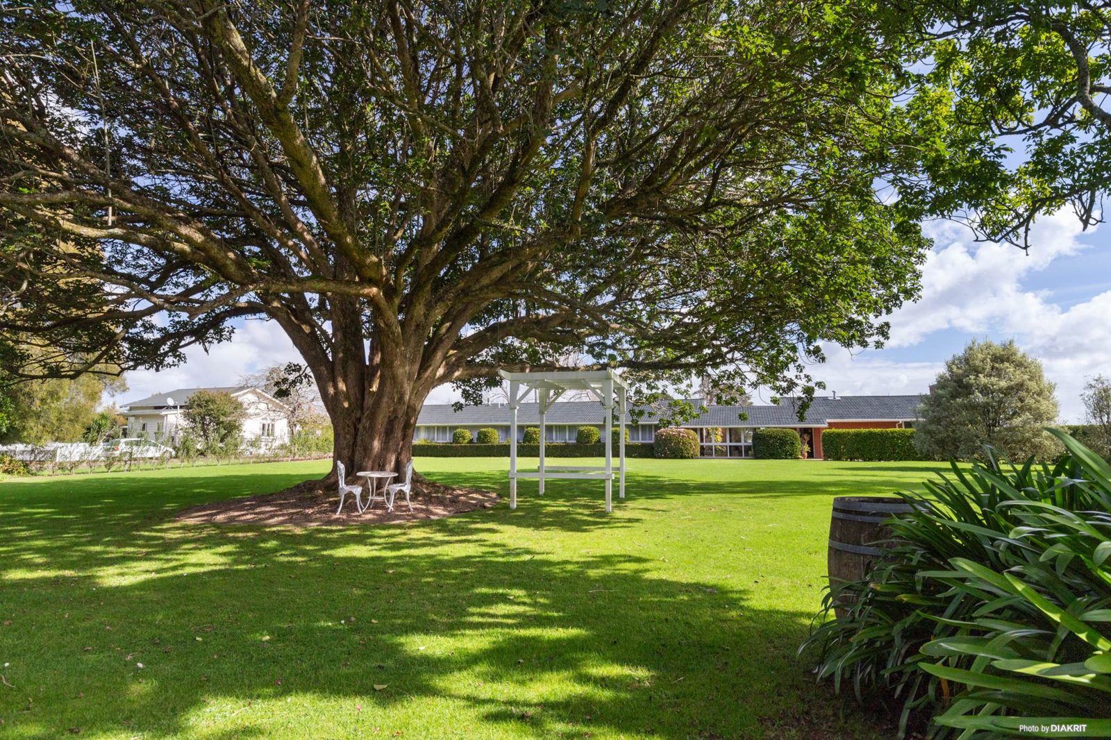 139 Dominion Road, Tuakau, photo 9