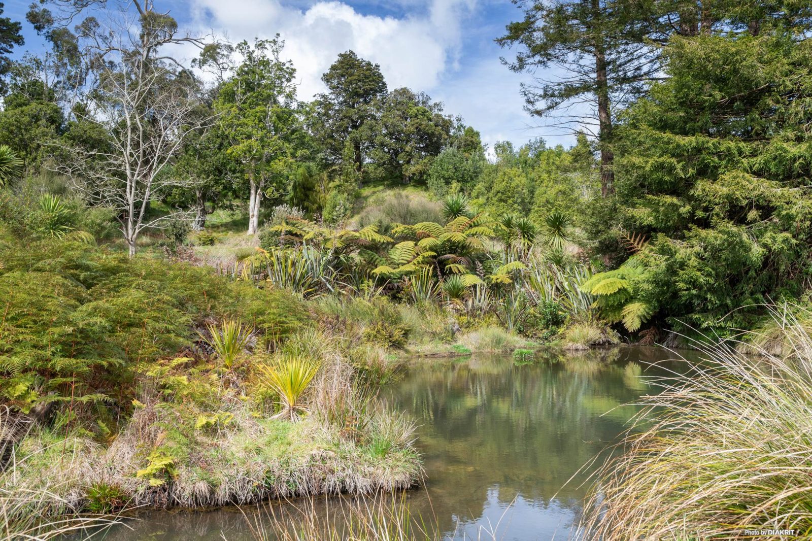 139 Dominion Road, Tuakau, photo 10