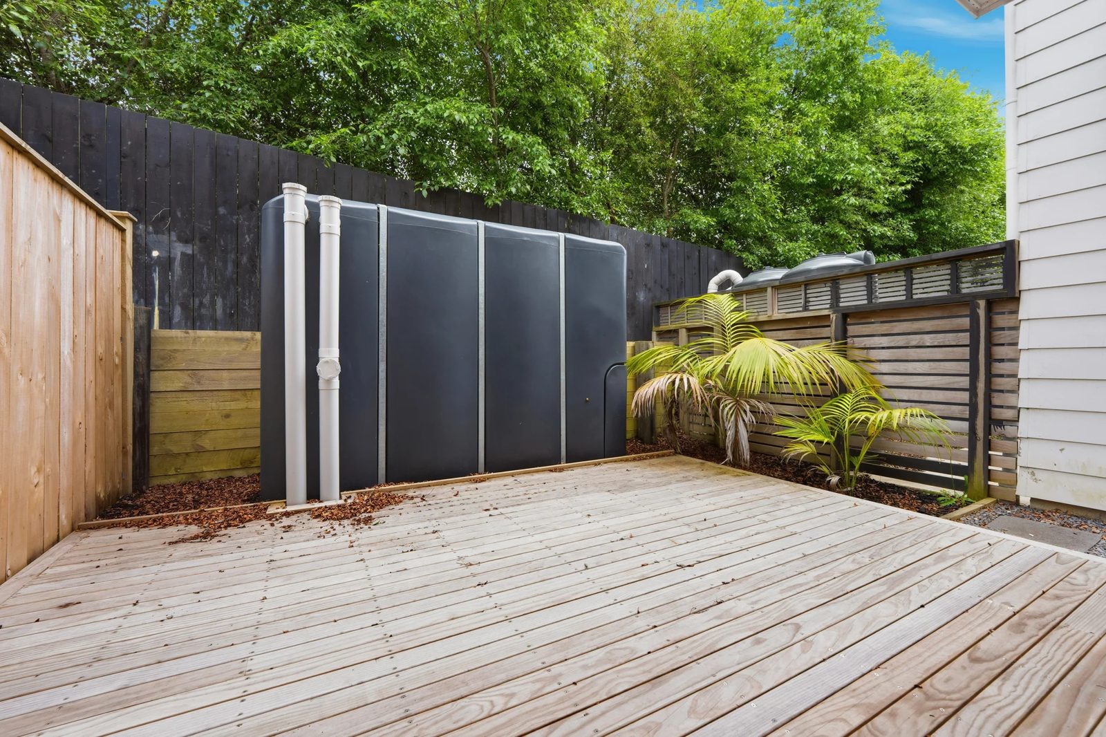 19 Mata Lane, Stanmore Bay, photo 4