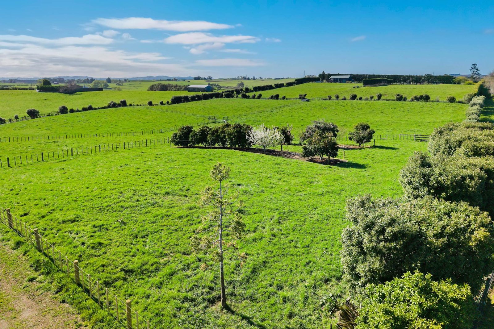 403 Glenbrook Road, Karaka, photo 5