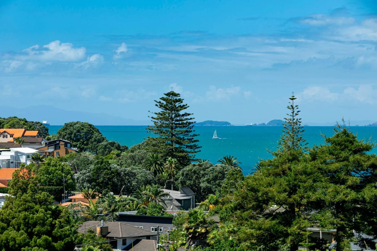 30 Aotearoa Terrace, Murrays Bay, photo 3