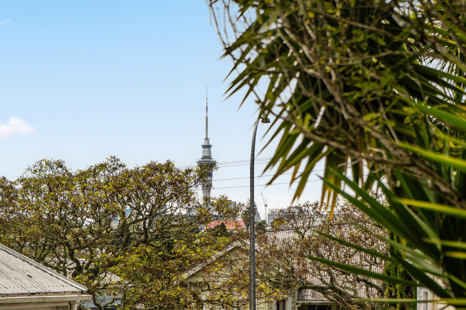 18A Dryden Street, Grey Lynn, photo 17