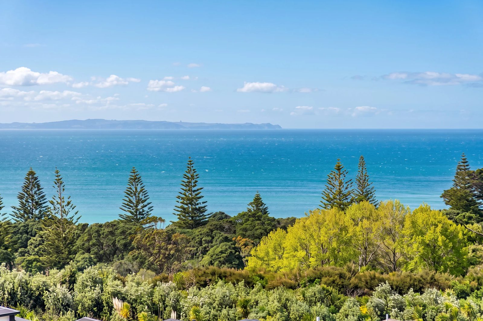 30 Waitai Close, Long Bay, photo 15