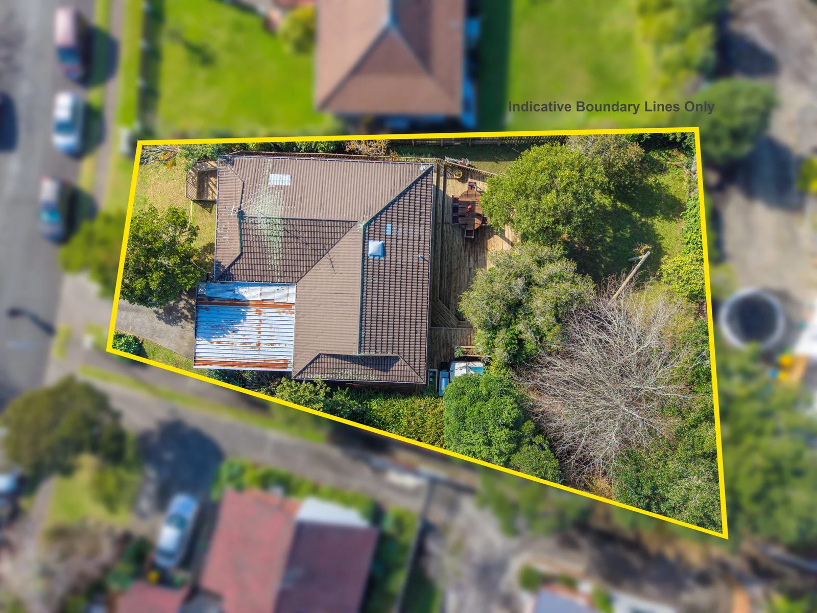 31 Palliser Lane, Browns Bay, photo 5