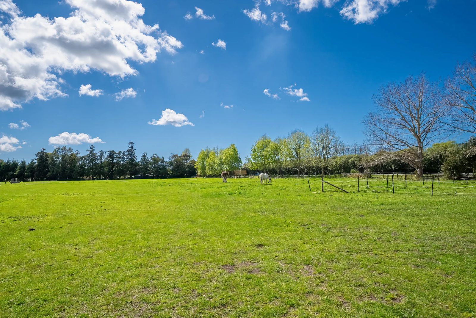 53 Omaha Flats Road, Matakana, photo 9