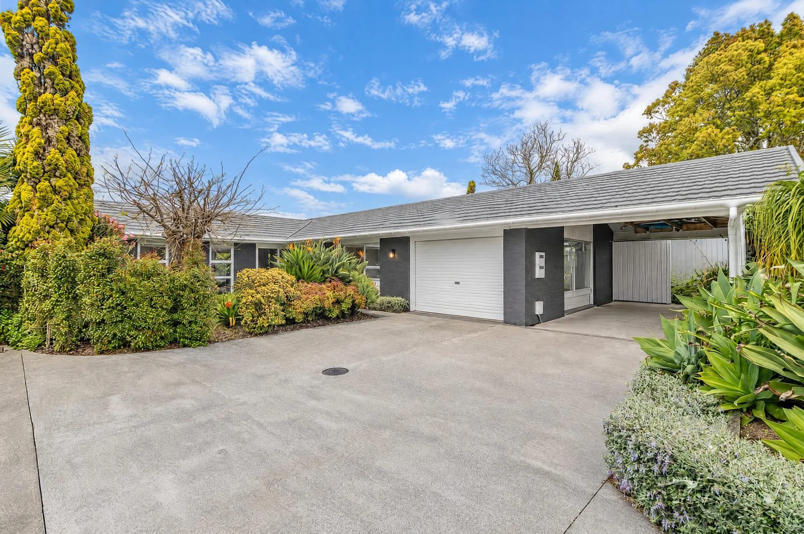 12 Rene Place, Sunnyhills, photo 1