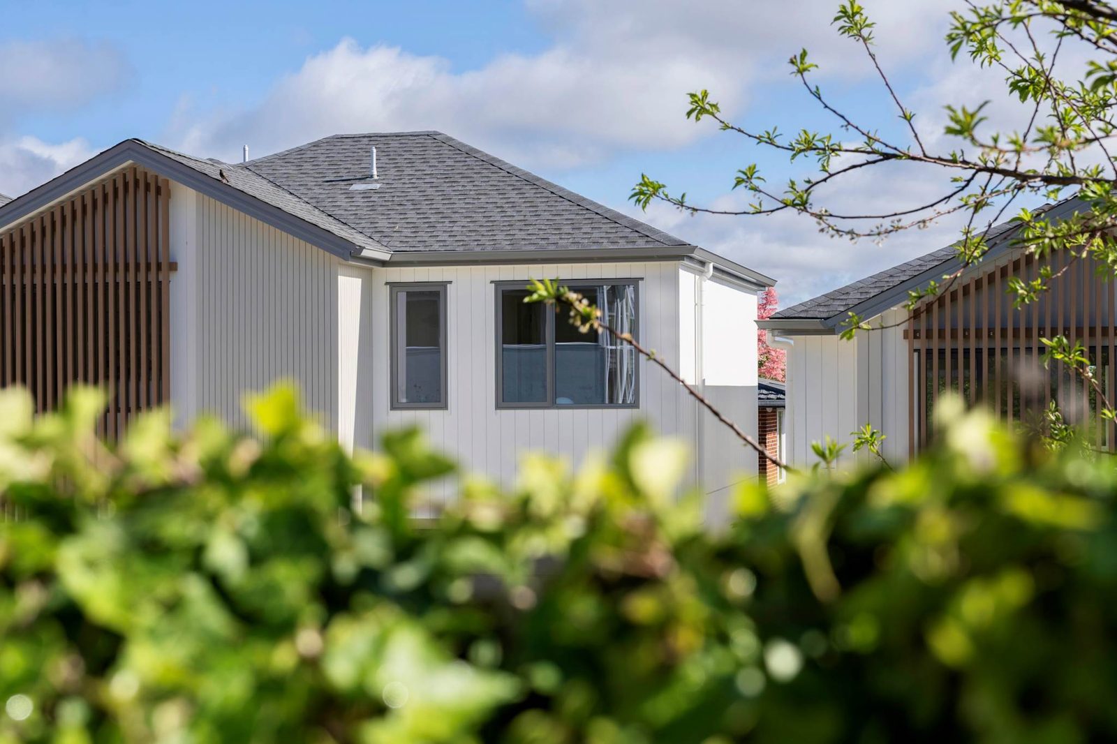 Lot 1/14 Mason Street, New Lynn, photo 13