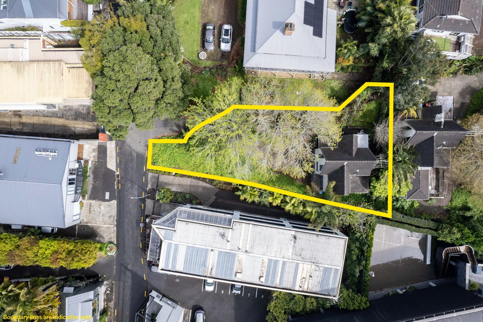26 Ruskin Street, Parnell, photo 1