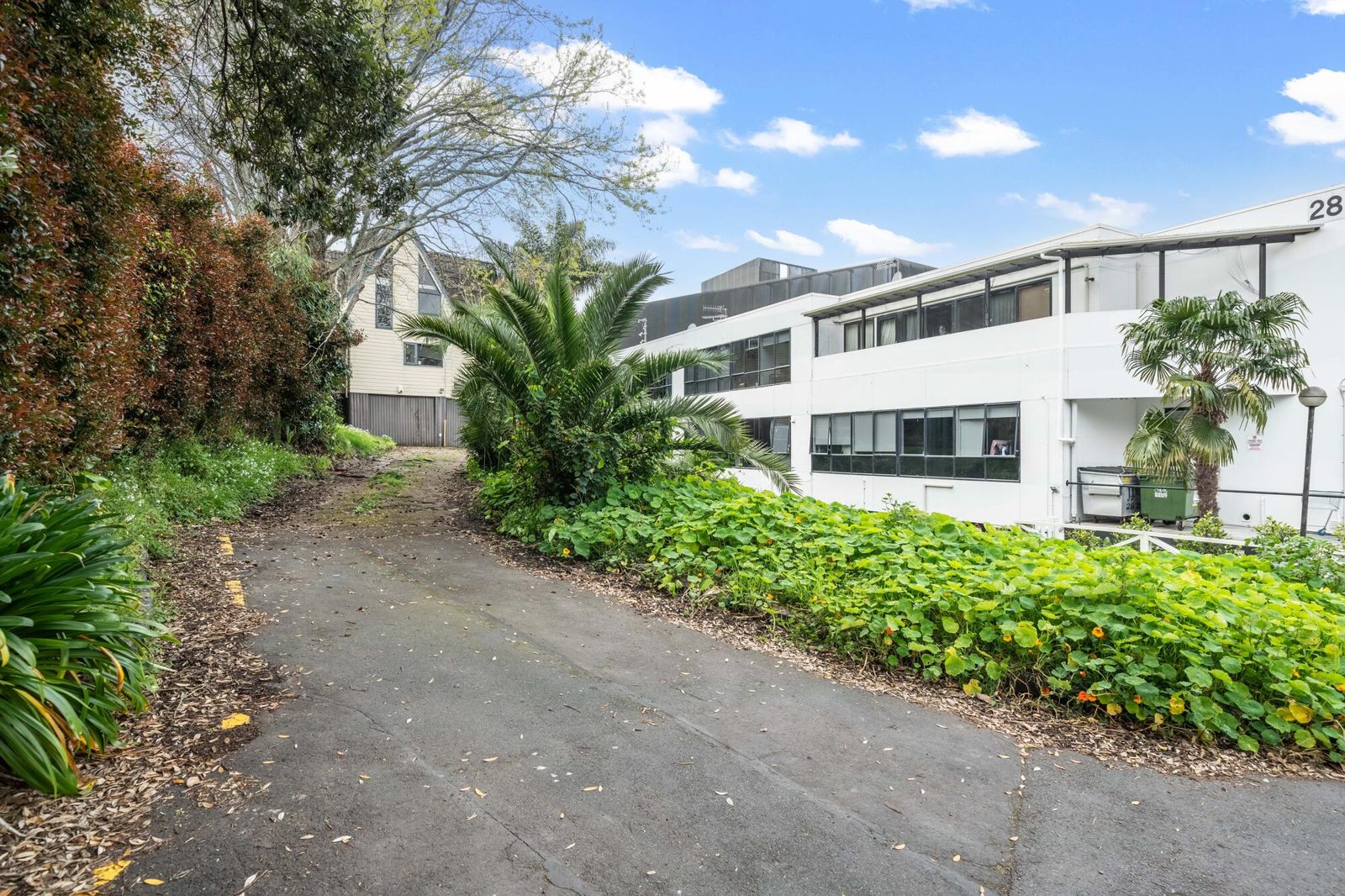 26 Ruskin Street, Parnell, photo 4