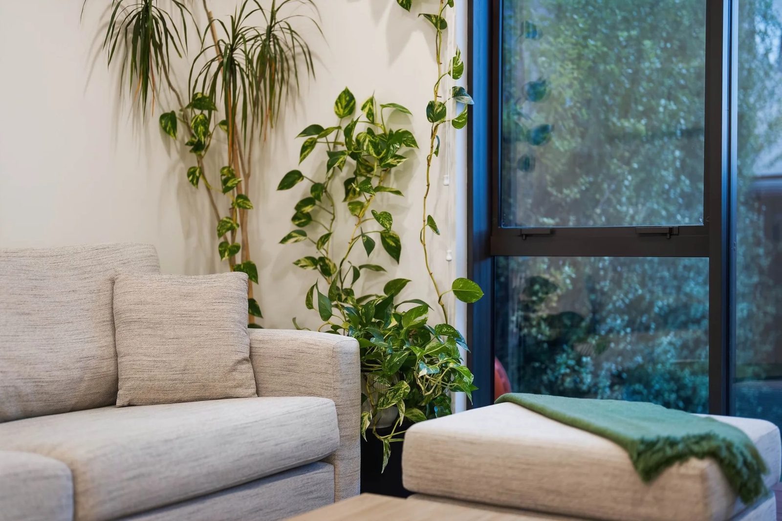 18 Kiato Lane, Flat Bush, photo 8
