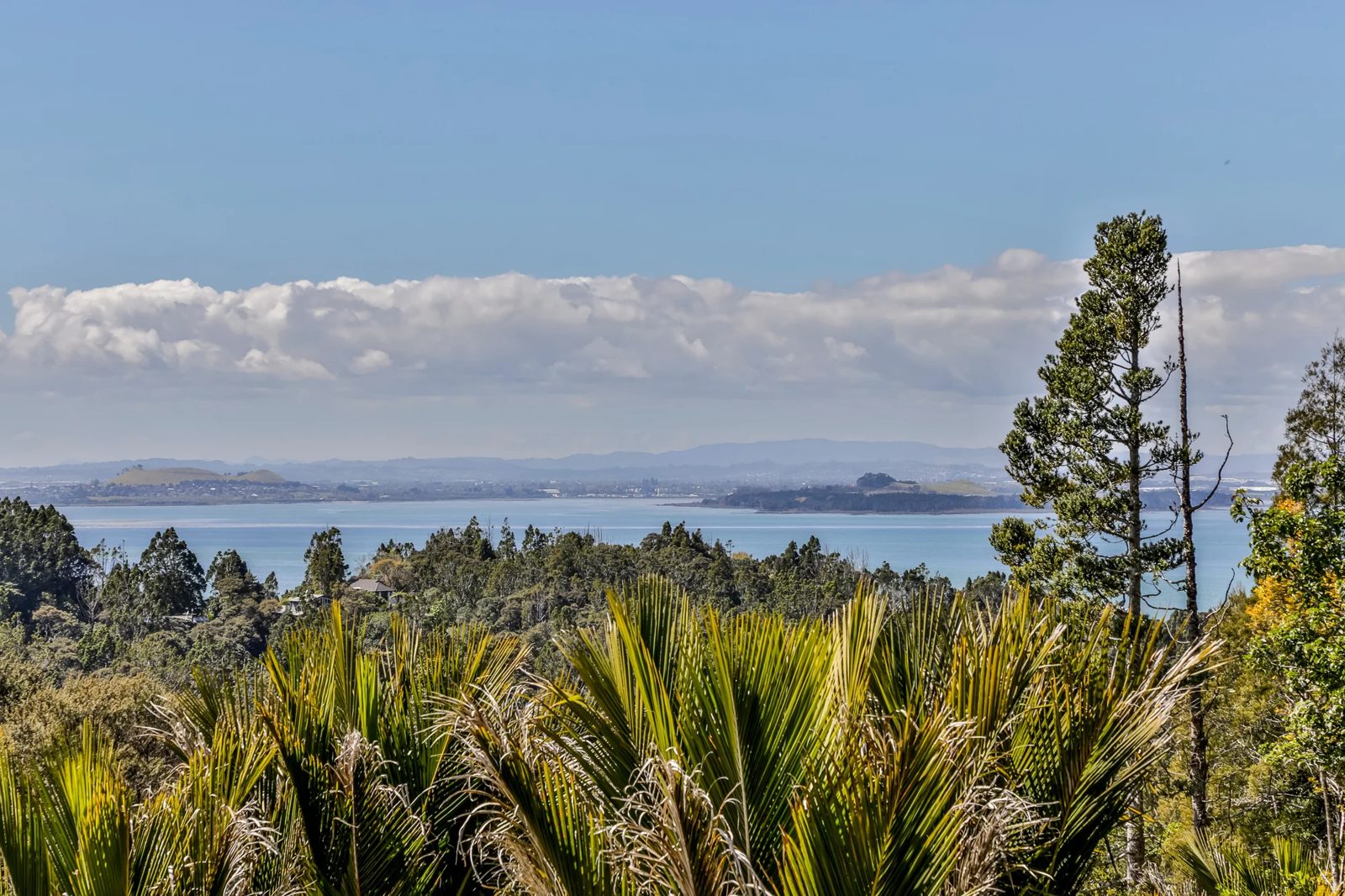 632 South Titirangi Road, Titirangi, photo 20