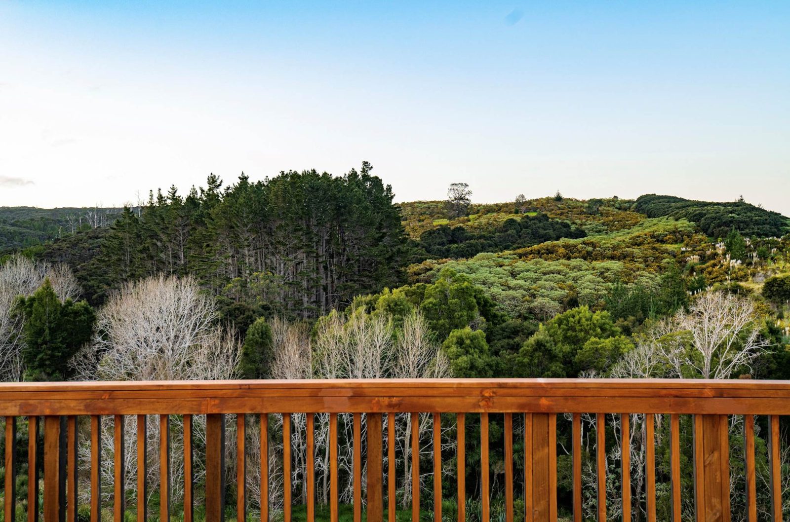 地址保密, Orewa, photo 8