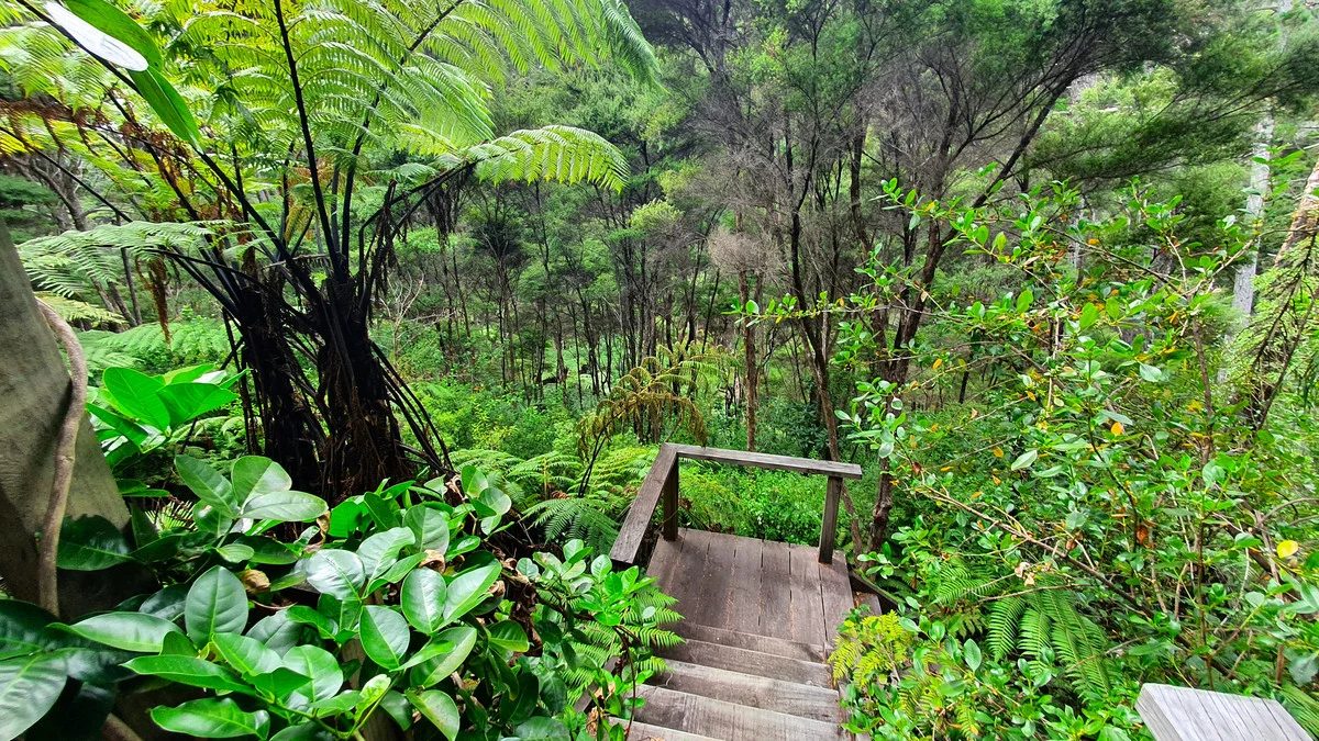 46 Schoolhouse Bay Road, Kawau Island, photo 18