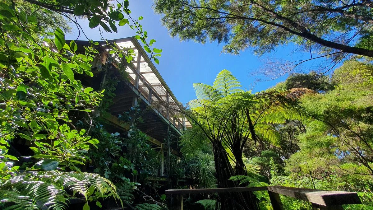 46 Schoolhouse Bay Road, Kawau Island, photo 19