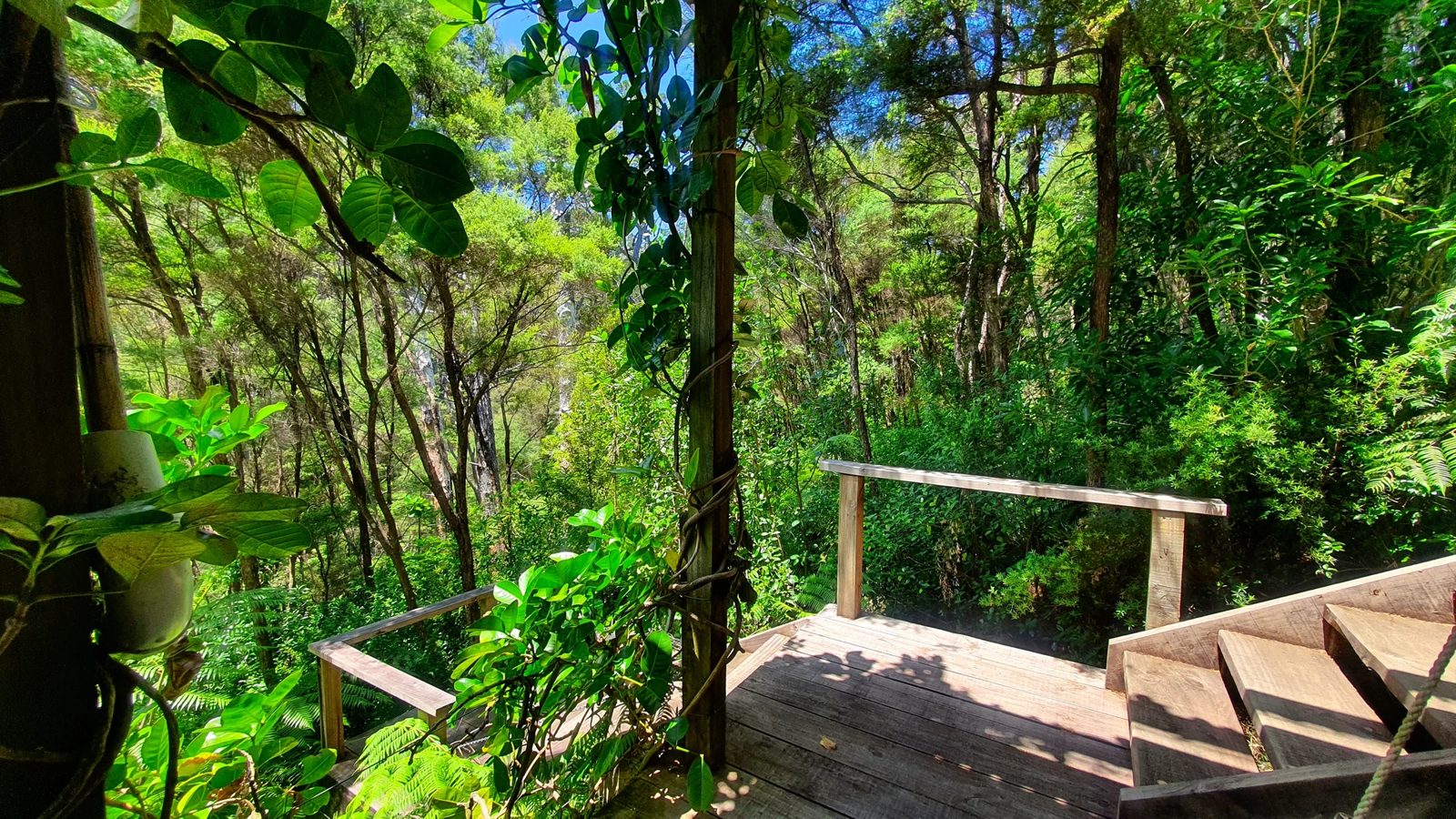 46 Schoolhouse Bay Road, Kawau Island, photo 20