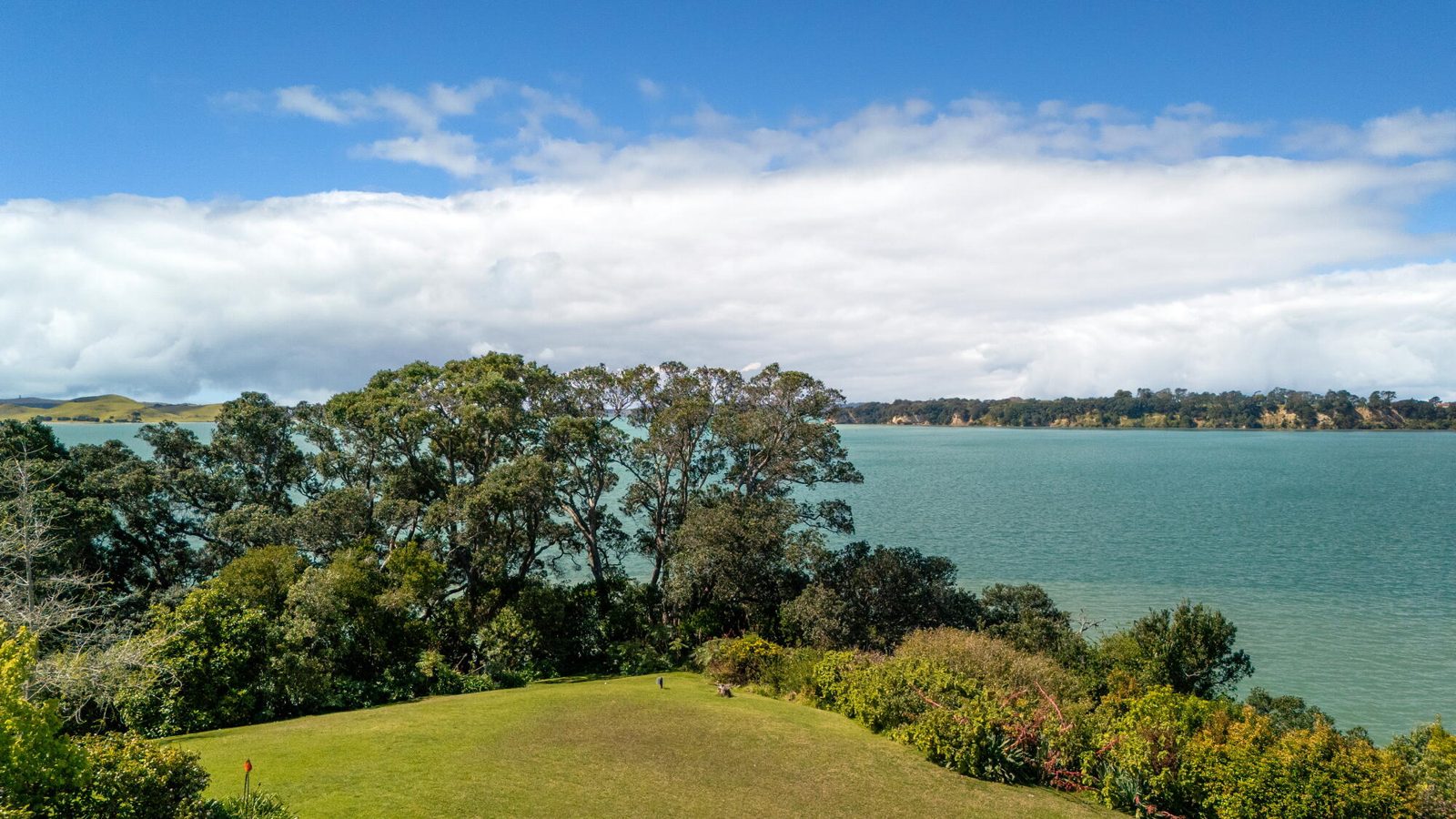 367 Riddell Road, Glendowie, photo 7