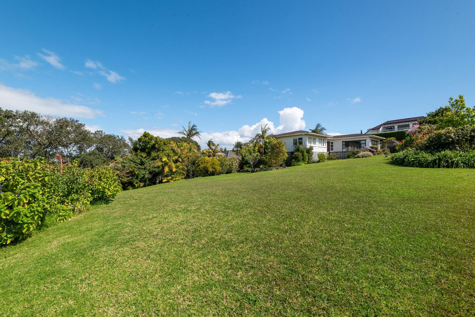 367 Riddell Road, Glendowie, photo 10