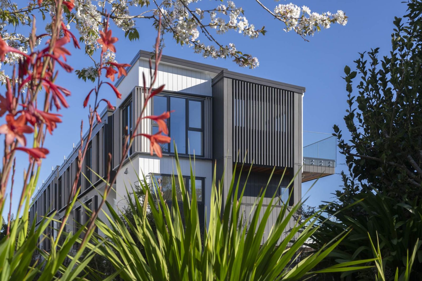 10-17/4 Springbank Lane, Te Atatu Peninsula, photo 6
