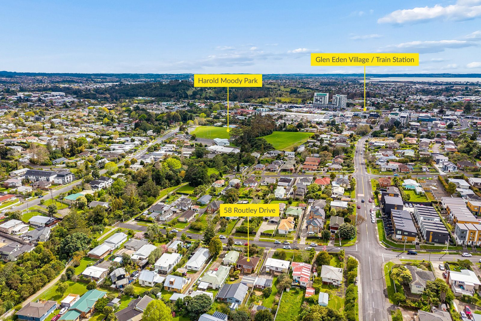 58 Routley Drive, Glen Eden, photo 19