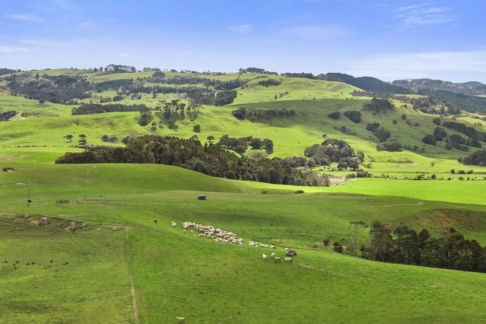 2 Mabbett Lane, Waimauku, photo 19