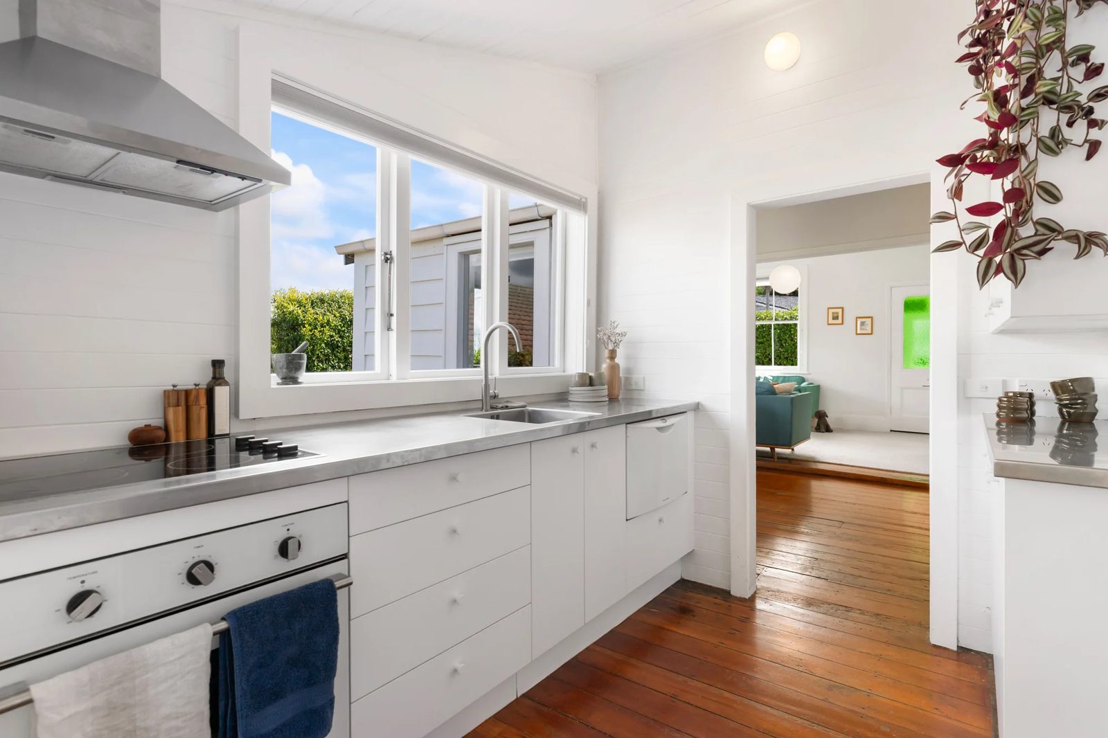 18 Wolseley Street, Morningside, photo 7