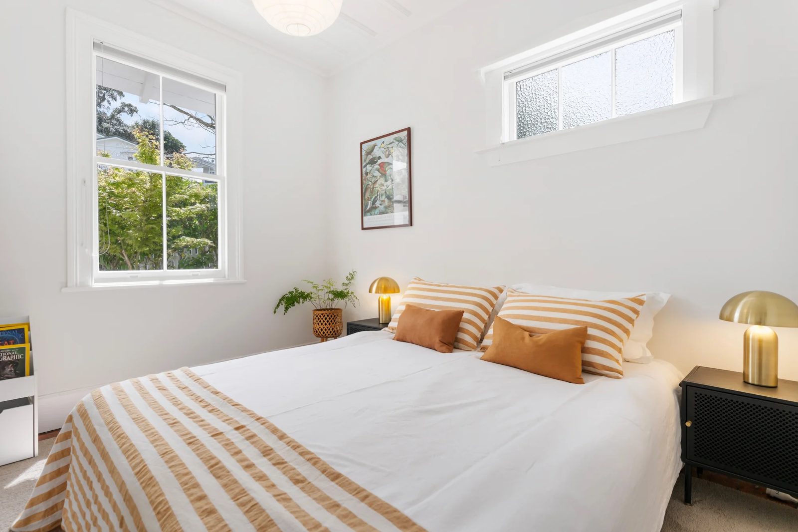18 Wolseley Street, Morningside, photo 9