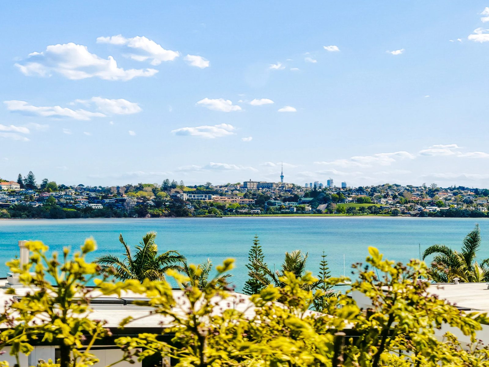 36 Waller Avenue, Bucklands Beach, photo 15