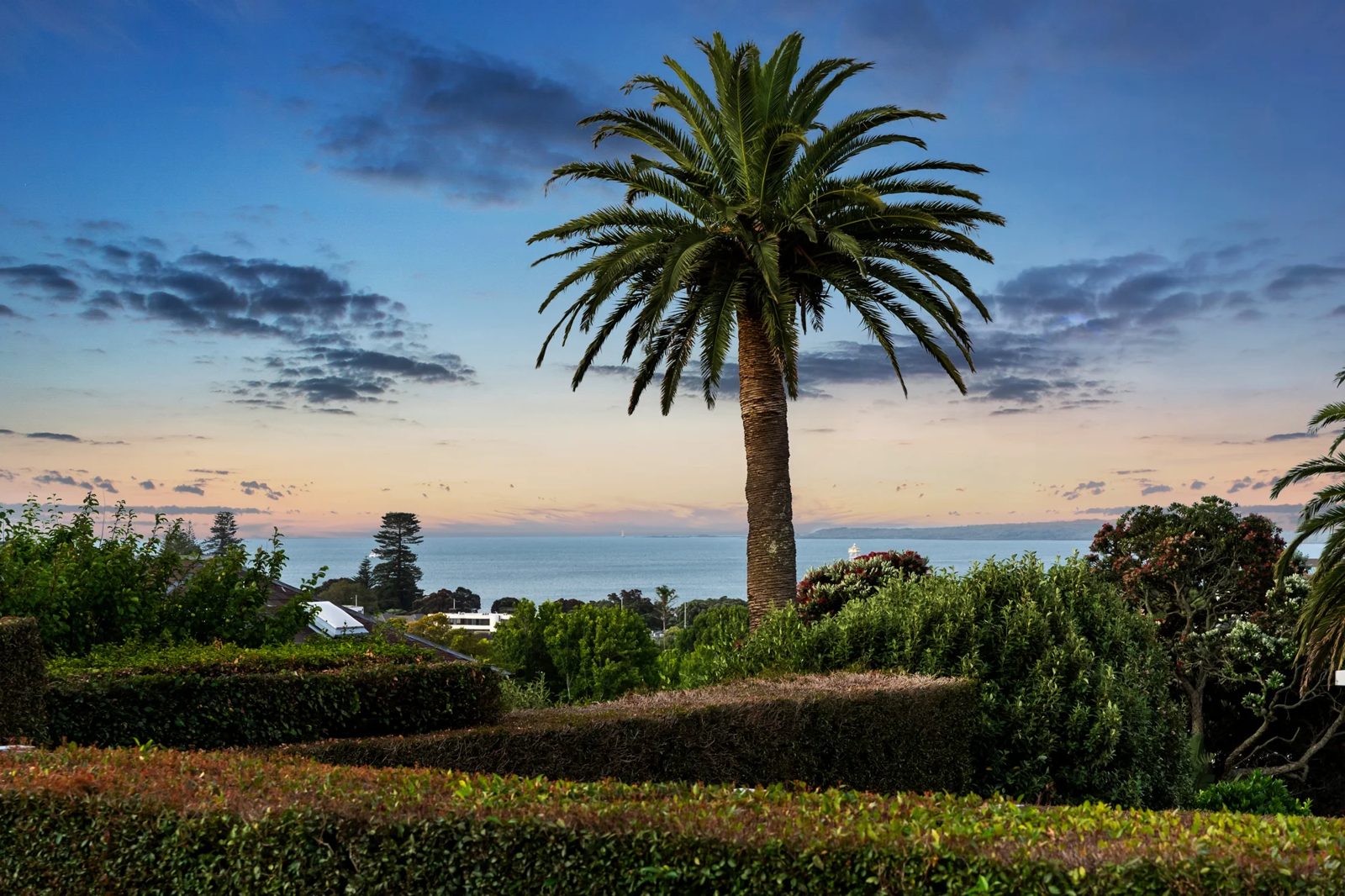 45 Codrington Crescent, Mission Bay, photo 2