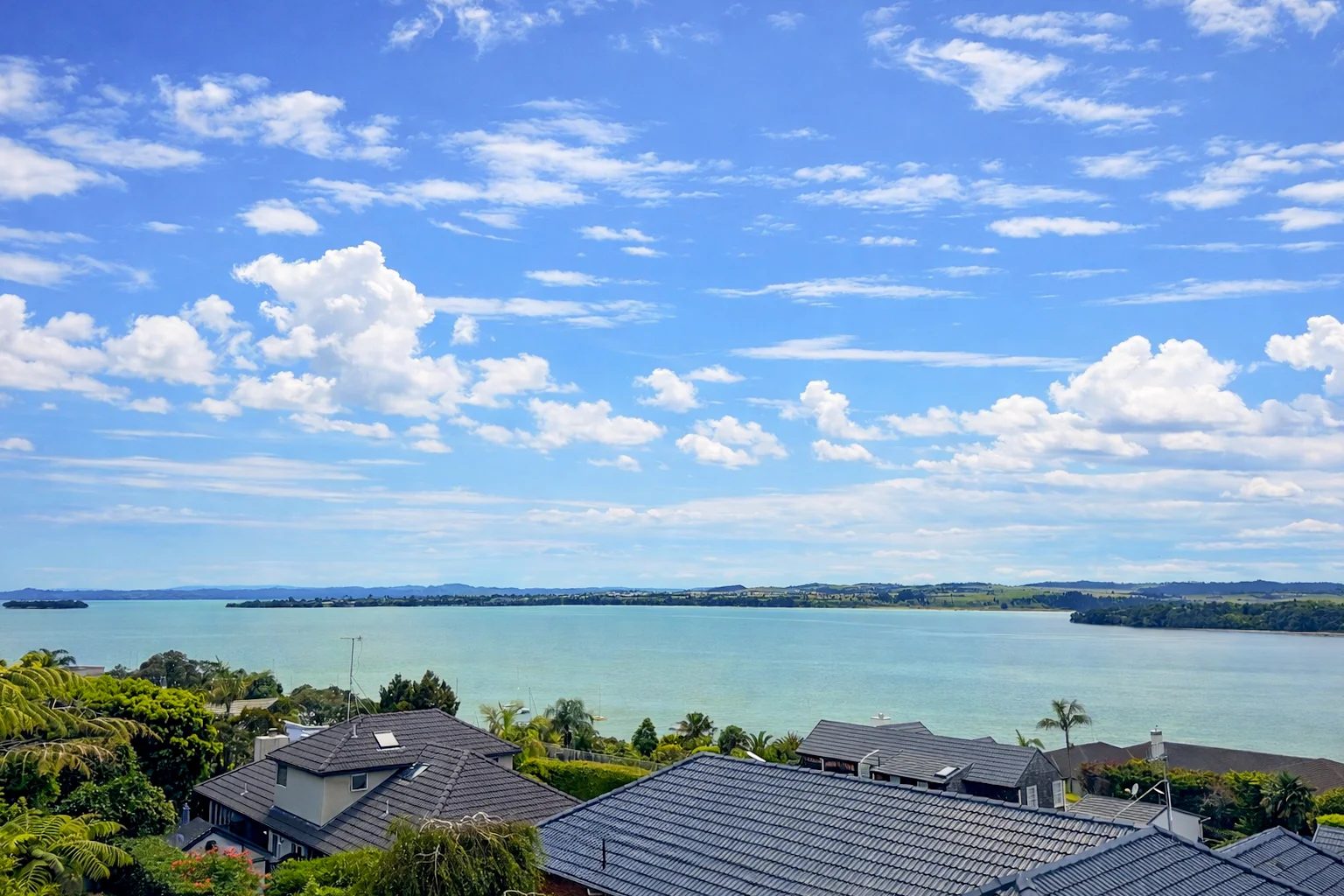 25 Callender Place, Shelly Park, photo 7