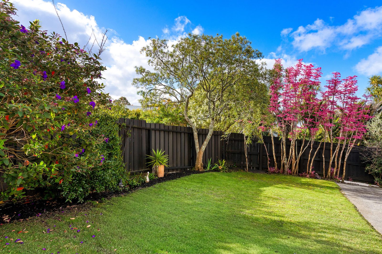 3 Malam Street, Glen Eden, photo 14