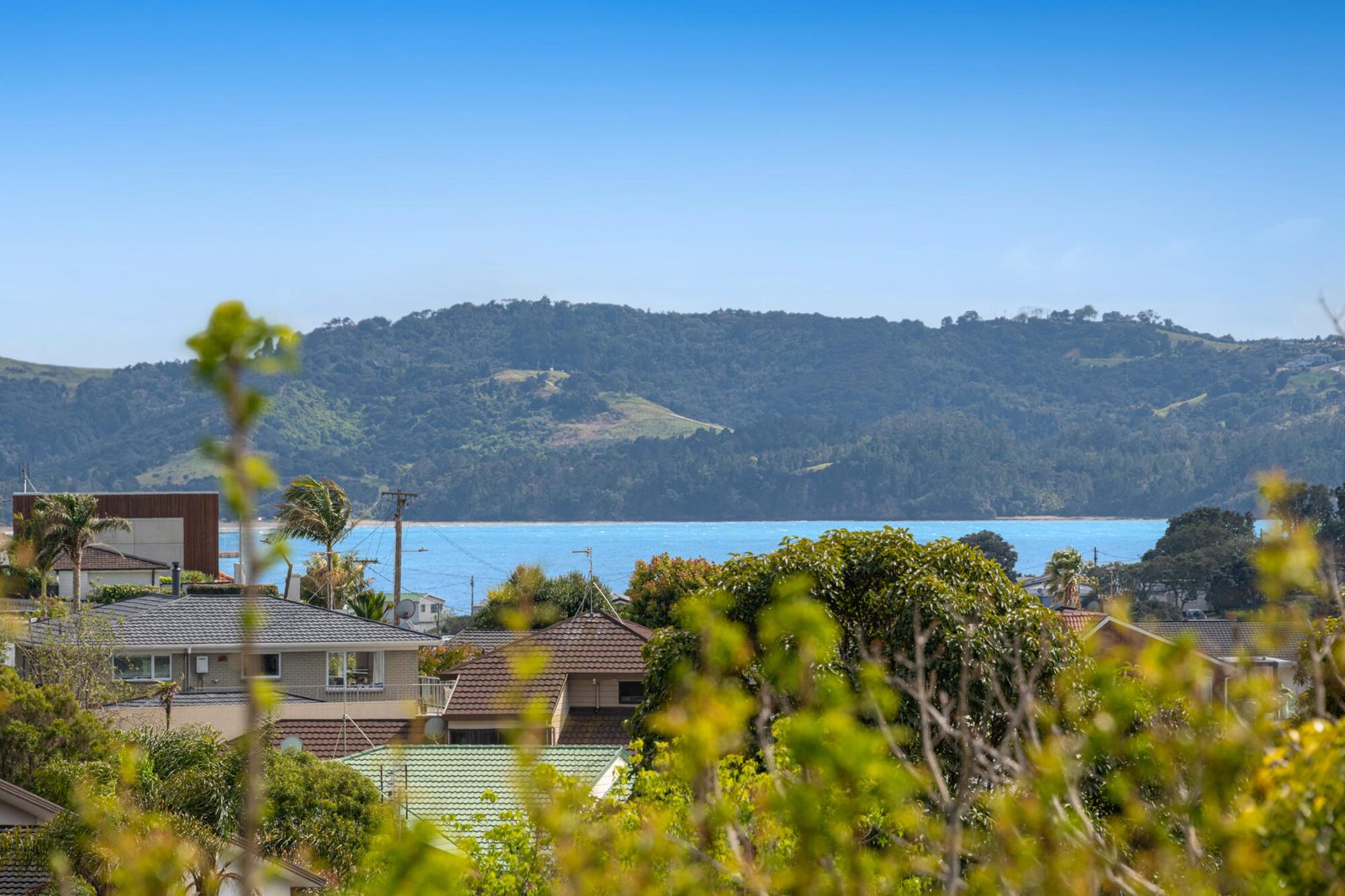 88 William Bayes Place, Red Beach, photo 17