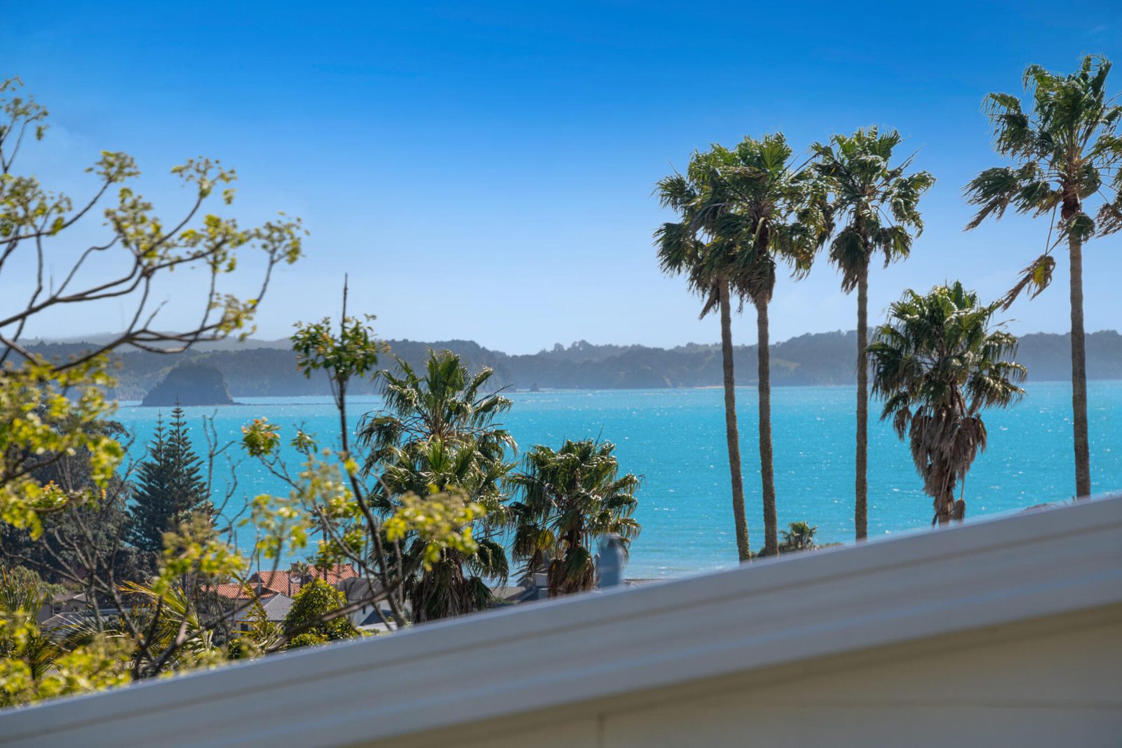 88 William Bayes Place, Red Beach, photo 6