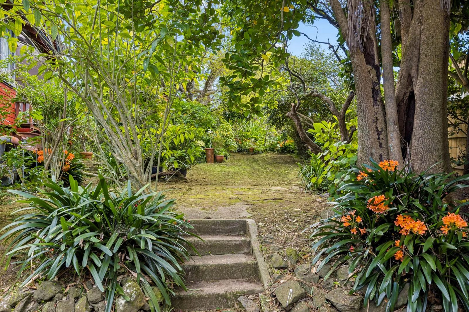 8 Takutai Street, Parnell, photo 6