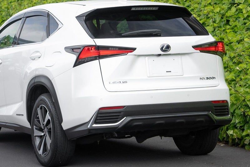 2018 Lexus NX 300h Hybrid, photo 3