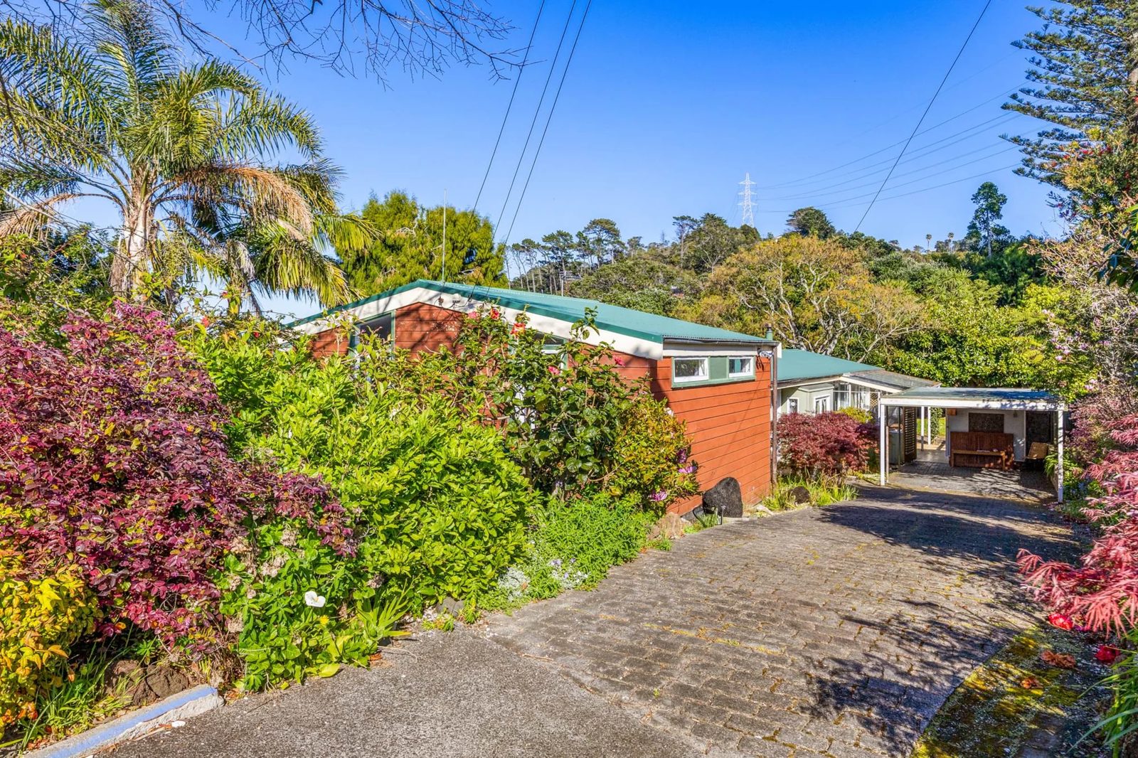 29 Bagley Street, Hillsborough, photo 7
