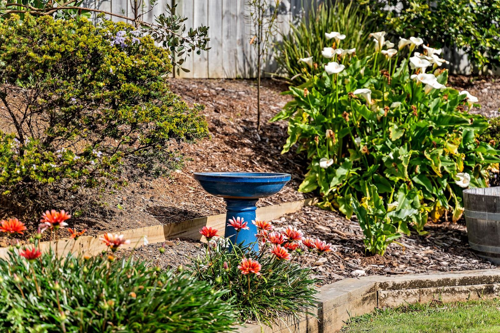 29 Lippiatt Crescent, Pokeno, photo 6