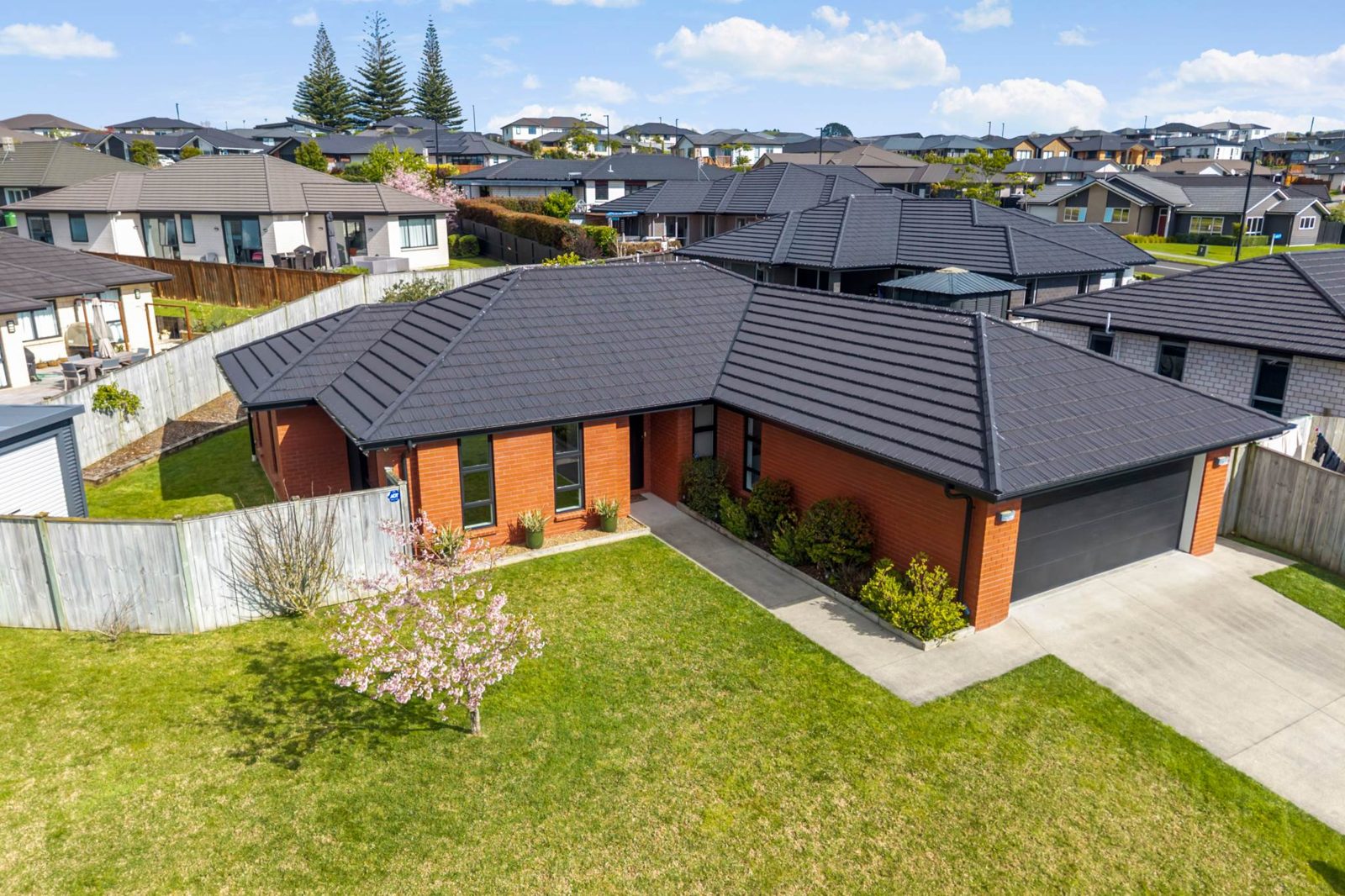 29 Lippiatt Crescent, Pokeno, photo 7
