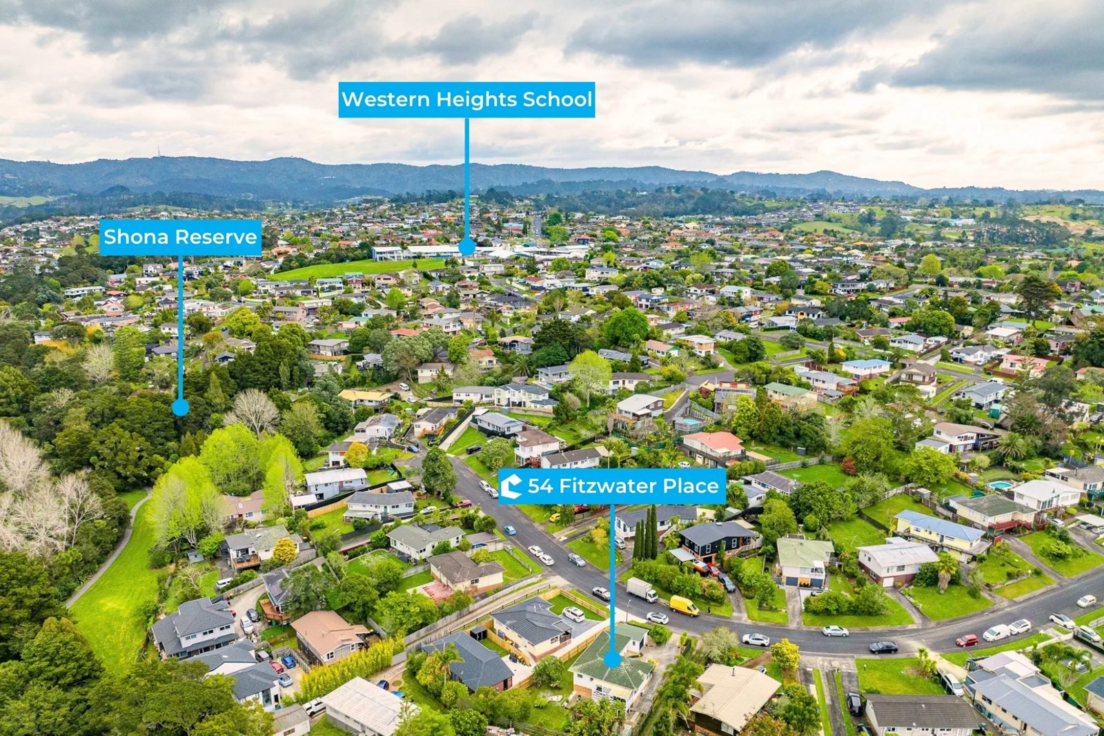 54 Fitzwater Place, Henderson, photo 5