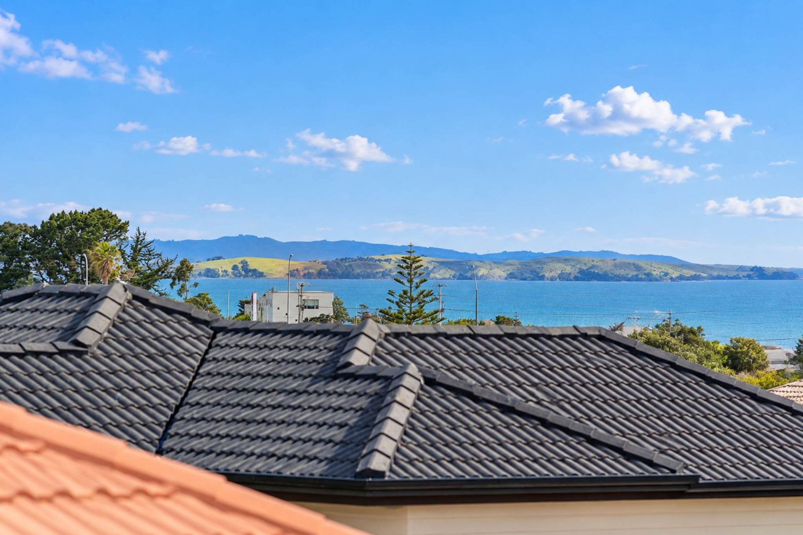 3 Richard Hill Close, Fairview Heights, photo 13