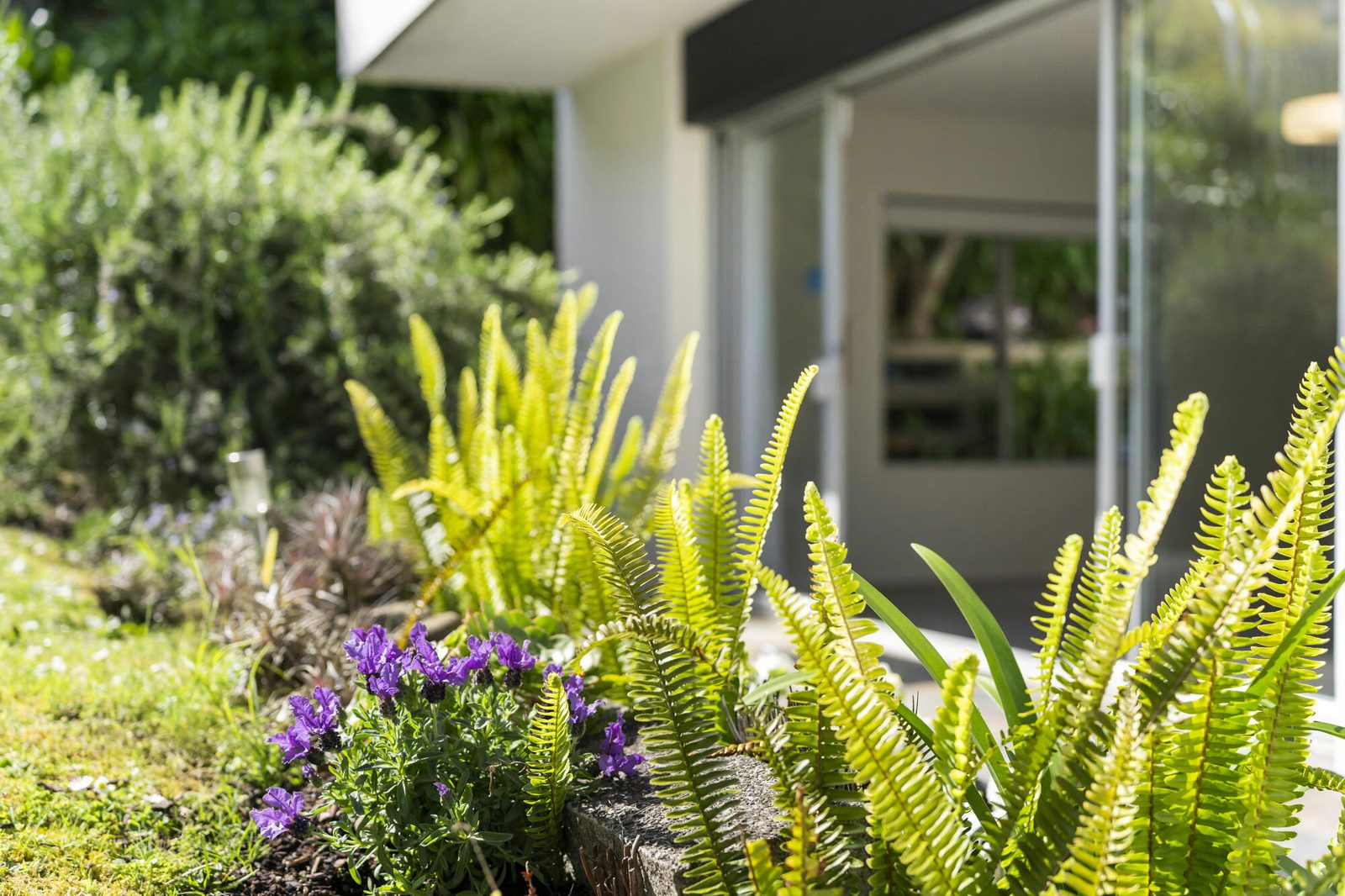 5/26 Patteson Avenue, Mission Bay, photo 15
