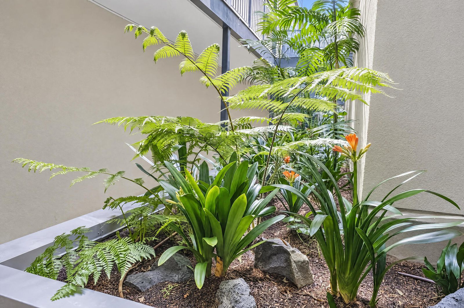 2B/10 Ruskin Street, Parnell, photo 16