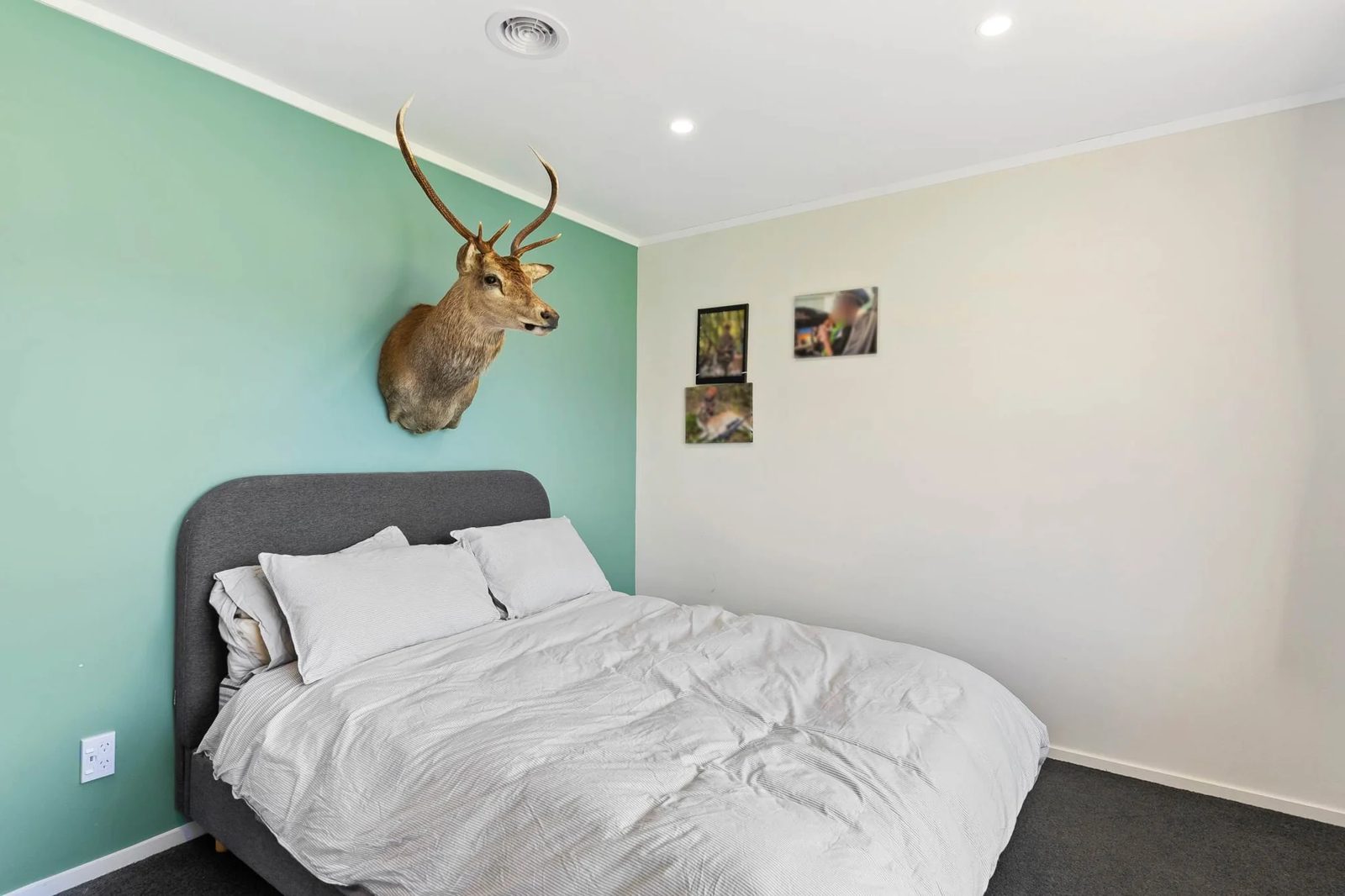 26 Maywood Crescent, Glen Eden, photo 15